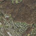 Person having bipolar episode near Reisterstown