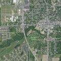 Loose dog on Lake Crossing Lane in Franklin