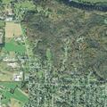 Tree blocking roadway on Ohio Boulevard