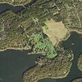 Tree down on power lines causes outage