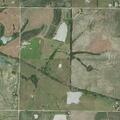 Loose cows reported on 262nd Road