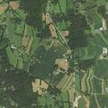 Loose pig reported on Ward Kline Road