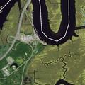 Large animal blocking road at Chestnut Neck and US 9