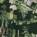 Person treated for allergic reaction near Newfield