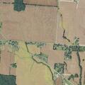 Search for woman who removed GPS monitor