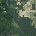Loose cows reported in yard on West Haymaker Avenue