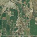 Loose cattle reported on county road 233