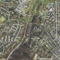 Intoxicated people reported near roadway