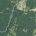 Tree blocking road on Mountain Lake Road