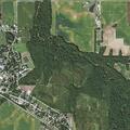 96-year-old woman falls with possible injury in Kincaid