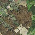 Person hemorrhaging at Waverly Drive in Bel Air