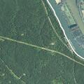 Tree blocking roadway on Allensville Road