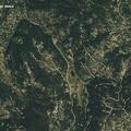 Multi-vehicle crash involving elk on Evergreen Parkway