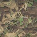 Multiple patients reported near Bushland Road