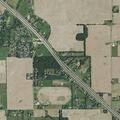 Woman in distress at North Michigan Road near boyfriend