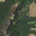 Report of juveniles swimming across park lake