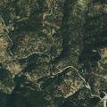 Person treated for allergic reaction at Geneva Glen Camp
