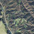 Wires and trees down on live lines blocking roadway