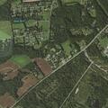 Person fallen near Denise Street in Port Deposit