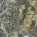 Woman bitten by dog and injured in fall near residential area