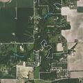 Dog kills neighbor’s chickens at Sugar Creek Lane