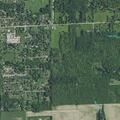 Person having difficulty breathing near county road