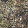 Woman suffers allergic reaction after bee sting in Frostburg