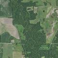 Deputies respond to domestic incident in Rothville