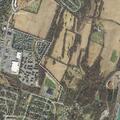 Injured cat reported on road near YMCA