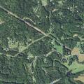 Tree blocking roadway on Marietta Road