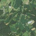 Person suffering allergic reaction in Freeland