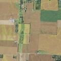 44-year-old male reported ill near Ashville