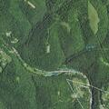 22-year-old male allergic reaction near Pettit Flat Rd