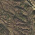 69-year-old male vomiting at Green Ridge campsite