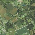 Person suffers allergic reaction near White Hall