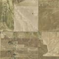 Vehicle crash involving loose cattle on Dutch Valley Rd