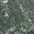Domestic incident at market involving assault victim