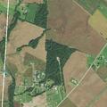 Person reported ill near Tenny Road in Mt Sterling