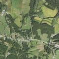 Elderly male with possible uti and hallucinations in Spring Hill