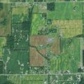 Animal complaint on Old Dayton Road