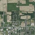Cow loose near road on North County Road 600 East