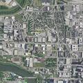 Officers respond to downtown yard disturbance