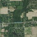 Person with allergic reaction at West John L McLaughlin Dr