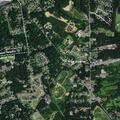 Man stung and conscious in driveway on Cattell Road