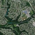 Female lethargic after new medication at North Fork Road