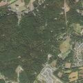 Person reported sick near Green Springs Road