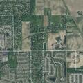 Report of child screaming at neighboring home