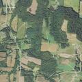 Welfare check for 78-year-old male at remote address