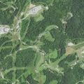 91-year-old female found lethargic after fall in Cameron