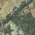 Psychiatric patient reported near Moulstown Road in Paradise Township